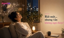 Viên Uống Ngủ Ngon Nhật Có Giúp Giảm Lo Âu Không?