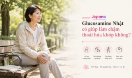 Glucosamine Nhật Có Thể Hỗ Trợ Gì Cho Người Thoái Hóa Khớp?