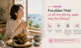 Fucoidan Nhật Có Hỗ Trợ Phòng Ngừa Ung Thư Không? Hiểu Đúng Và Lưu Ý An Toàn