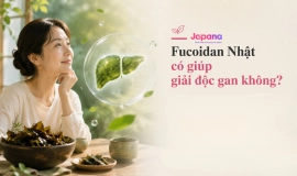 Fucoidan Nhật Có Giúp Giải Độc Gan Không?