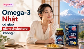 Omega-3 Nhật Có Giúp Giảm Cholesterol Không? 