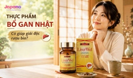 Thực phẩm bổ gan Nhật có giúp giải độc rượu bia?