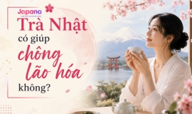 Trà Nhật có giúp chống lão hóa không?