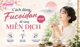 Cách dùng Fucoidan Nhật để tăng miễn dịch