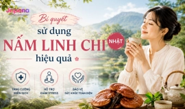 Bí quyết sử dụng nấm linh chi Nhật hiệu quả