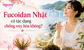 Fucoidan Nhật có tác dụng chống oxy hóa không?