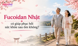 Fucoidan Nhật có giúp phục hồi sức khỏe sau ốm không?