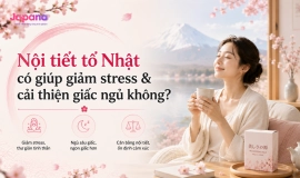 Nội tiết tố Nhật có giúp giảm stress & cải thiện giấc ngủ không?
