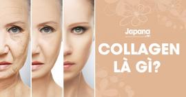 Một số thông tin cần biết về collagen trong sức khỏe và làm đẹp