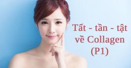 Tất – tần – tật về Collagen mà bạn nên biết
