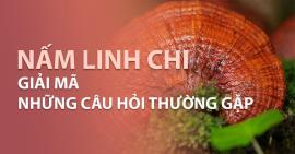 Giải mã những câu hỏi thường gặp về nấm linh chi