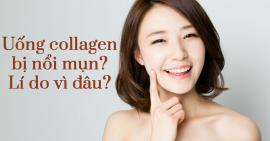 Uống Collagen bị nổi mụn? Đúng hay sai?