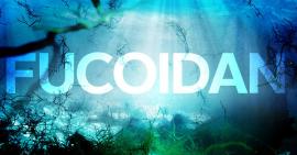 Fucoidan – Thần dược trường thọ, chống ung thư của người Nhật