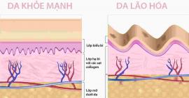 Top 5 sản phẩm Bột Collagen Nhật Bản tốt nhất hiện nay