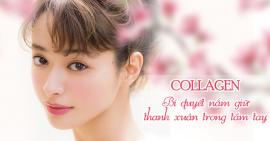 Điểm mặt các loại Collagen “Hot” nhất hiện nay