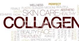 Tổng hợp những cách bổ sung collagen cho cơ thể bạn nên biết
