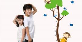 Hướng dẫn cách bổ sung canxi tăng chiều cao 