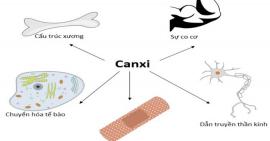 Những lưu ý khi bổ sung Canxi tăng chiều cao cho bé