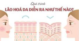 Tìm hiểu về quá trình lão hóa của làn da