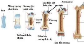 Bật mí những cách đơn giản giúp tăng chiều cao cho trẻ