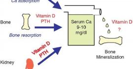 Sự quan trọng của vitamin D3 đối với chiều cao của cơ thể