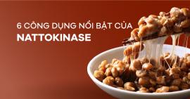 [Infographic] 6 công dụng nổi bật của Nattokinase đối với sức khỏe