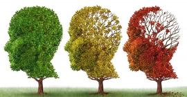 Tìm hiểu nguyên nhân và những dấu hiệu cảnh báo bệnh suy giảm trí nhớ