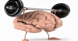 Làm thế nào có thể giúp chăm sóc não bộ, rèn luyện trí nhớ và có tư duy tốt trong công việc?