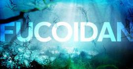 Điểm danh 5+ tác dụng của Fucoidan trong việc điều trị ung thư