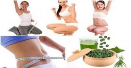Đằng sau sự thật về việc uống tảo giúp giảm cân