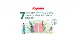 [Infographic] 7 thành phần thảo dược giúp tăng cường sức khỏe não bộ