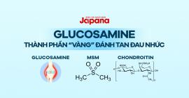 [Infographic] Glucosamine thành phần “vàng” đánh tan đau nhức xương khớp