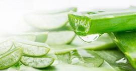 Tác dụng thần kì của nha đam đối với tóc mà bạn cần biết