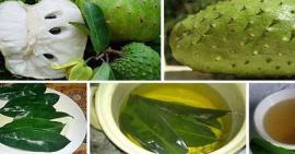 Mãng cầu có công dụng giảm cân khiến bạn không ngờ tới