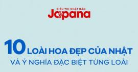 10 LOÀI HOA ĐẸP CỦA NHẬT VÀ Ý NGHĨA ĐẶC BIỆT