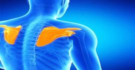 Những điều bạn cần biết về chấn thương gãy xương bã vai