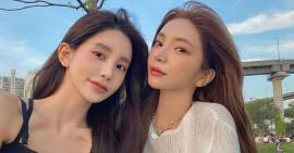 Dầu gội từ tỏi: bí quyết cho mái tóc sạch khỏe, óng mượt