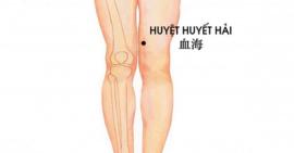 Trị đau khớp gối tại nhà bằng phương pháp bấm huyệt bạn đã biết chưa?