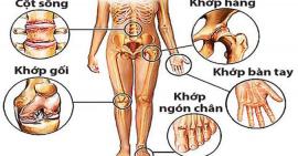 Những điều bạn cần biết về hệ thống xương khớp