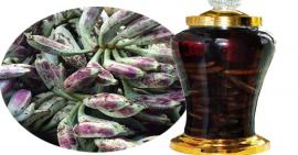 Mách bạn cách ngâm rượu chuối hột chữa đau khớp tại nhà