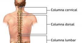 Cấu tạo cột sống và những bệnh lý về cột sống thường gặp