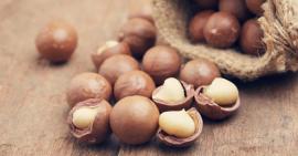 9 lợi ích của hạt Macca đối với sức khỏe, làn da và mái tóc