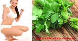 Giảm cân bằng rau mùi nói lời tạm biệt với mỡ thừa
