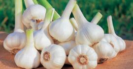 5 loại thực phẩm giúp tăng cường sức đề kháng trong mùa dịch Covid