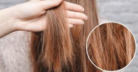 Mẹo phục hồi đuôi tóc khô xơ từ nguyên liệu thiên nhiên