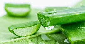 Mặt nạ nha đam - bí quyết cho ngày hè thêm mát mẻ