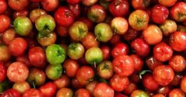 Sơ ri - thực phẩm thần thánh cho da và vóc dáng