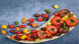 4 loại mặt nạ trị nám da hiệu quả mà có thể bạn không biết