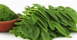 Rau chùm ngây giảm cân hiệu quả an toàn, bạn đã biết chưa?