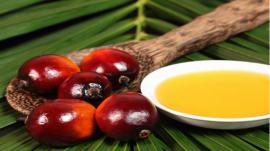 Cứu rỗi làn da khô với 5 loại tinh dầu từ thiên nhiên